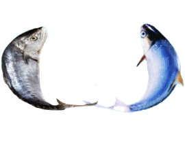 Phang Fishery
